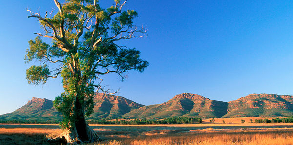 Wilpena Pound