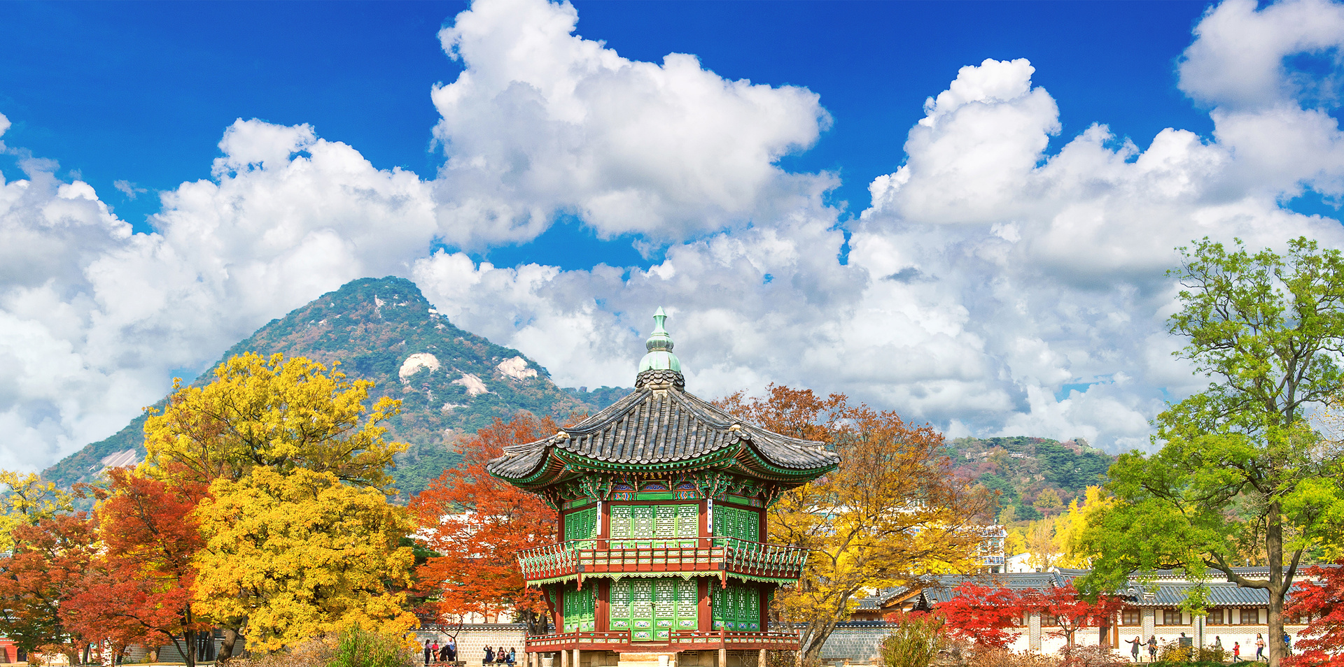 Essence of South Korea & Japan
