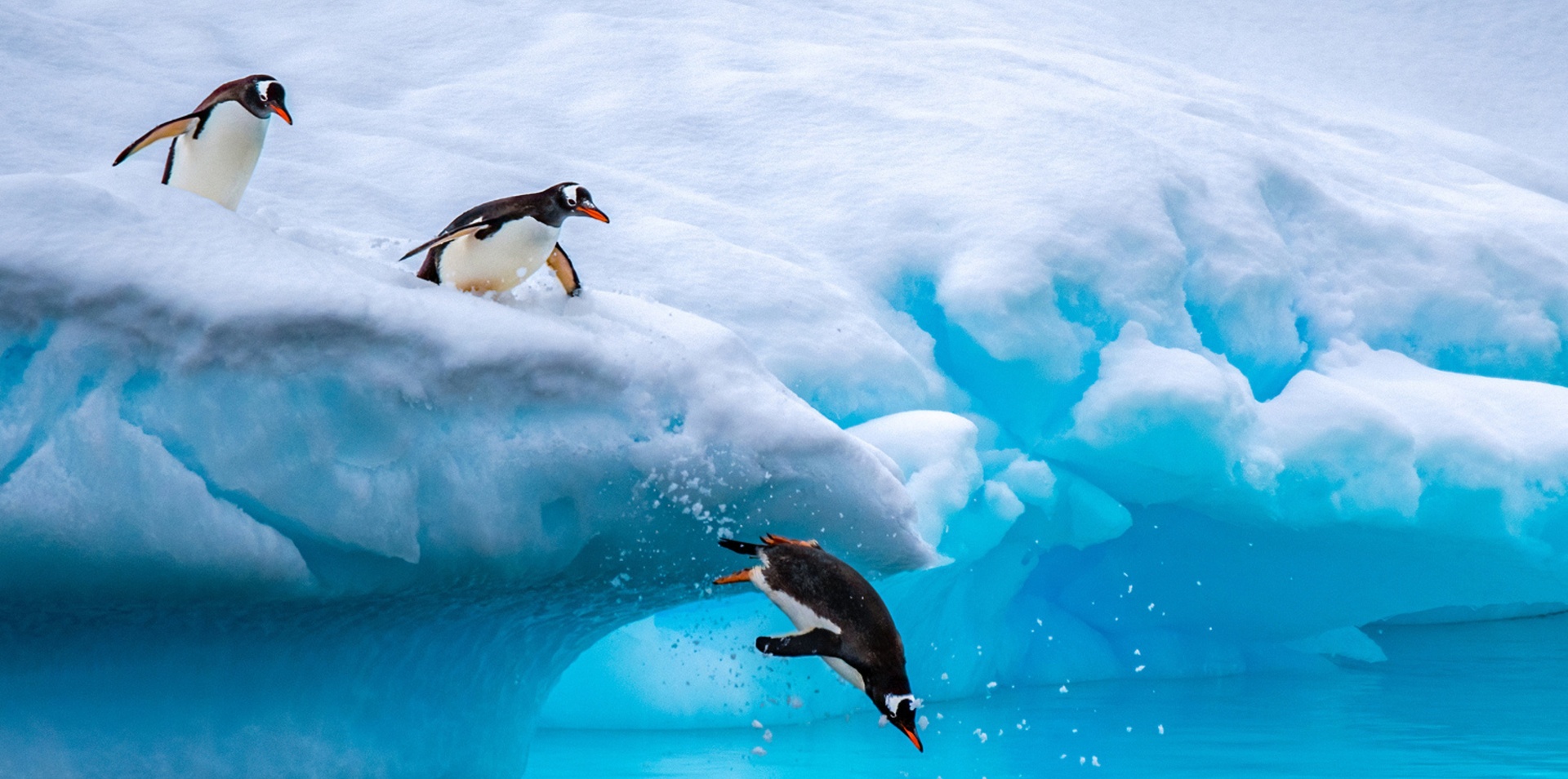 Icons of South America & Immersive Antarctica