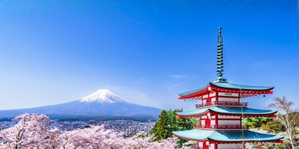 Japan in Bloom