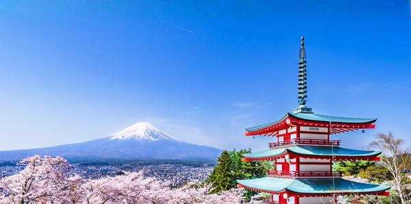 Japan in Bloom