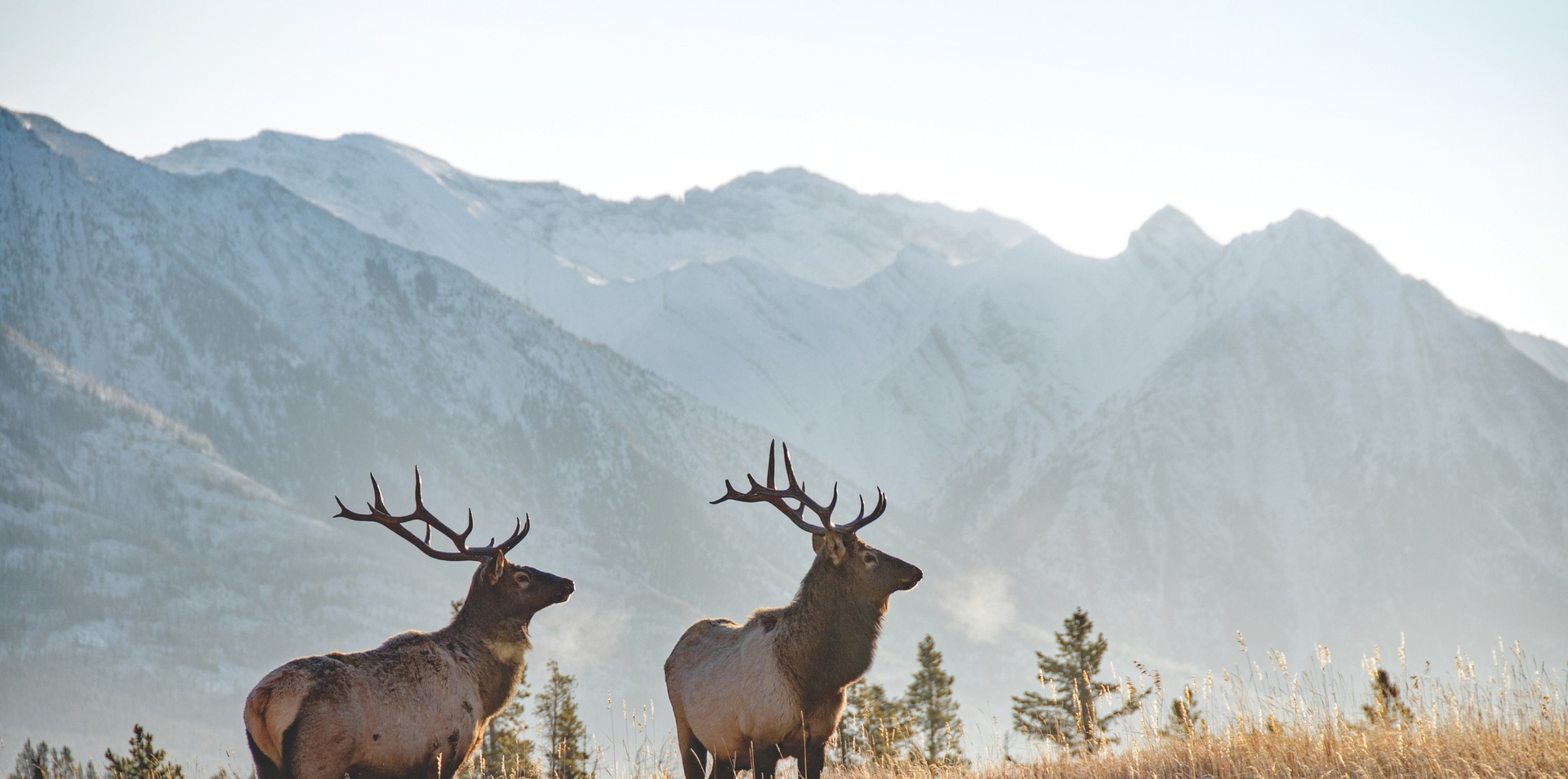 Rockies with Alaska by Sea and Land