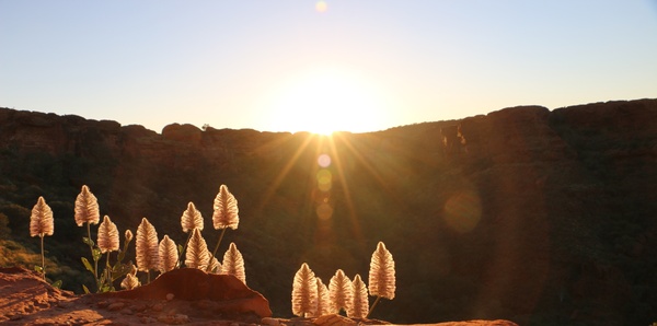 Kings Canyon