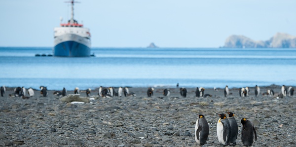 South Georgia Cruise