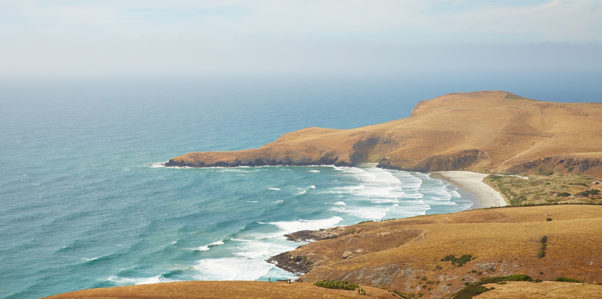 New Zealand Cruise